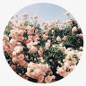 Meet your Posher, Sonnett